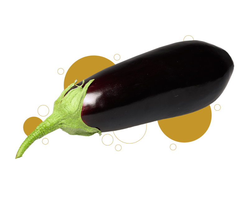 js ewers product eggplant