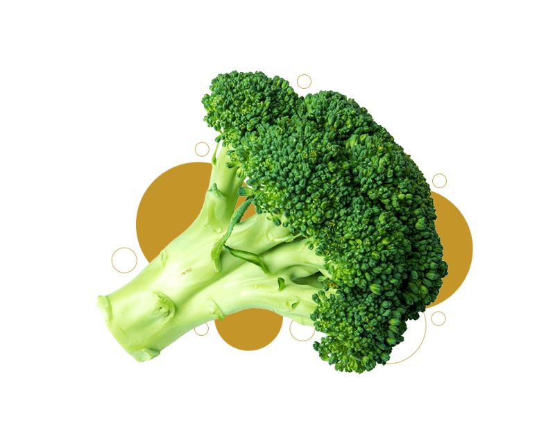js ewers product broccoli